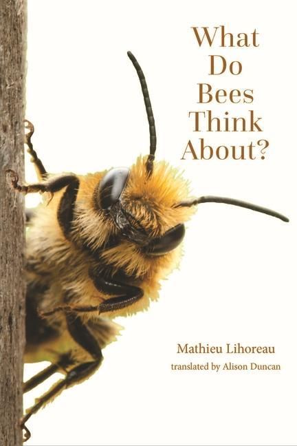 Produktbild: What Do Bees Think About?
