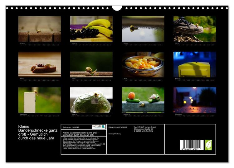 Produktbild: Kleine B&auml;nderschnecke ganz gro&szlig; - Gem&uuml;tlich durch das neue Jahr (Wandkalender 2026 DIN A3 quer), CALVENDO Monatskalender