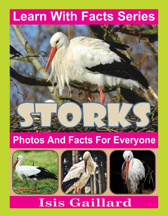 Produktbild: Storks Photos and Facts for Everyone (Learn With Facts Series, #99)