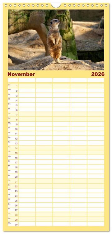 Produktbild: Familienplaner 2026 - Erdm&auml;nnchen - Zusammen sind wir stark mit 5 Spalten (Wandkalender, 21 x 45 cm) CALVENDO