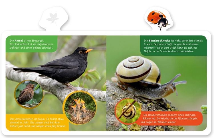 Produktbild: Tiere im Garten