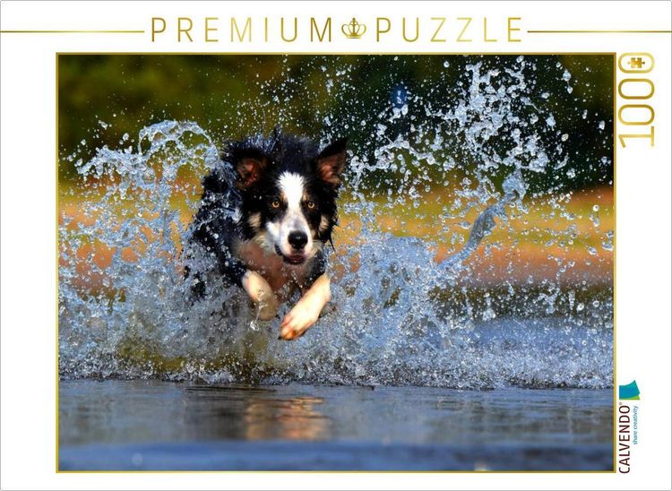 Produktbild: CALVENDO Puzzle Hund tobt im Wasser | 1000 Teile Lege-Gr&ouml;&szlig;e 64x48cm Foto-Puzzle f&uuml;r gl&uuml;ckliche Stunden