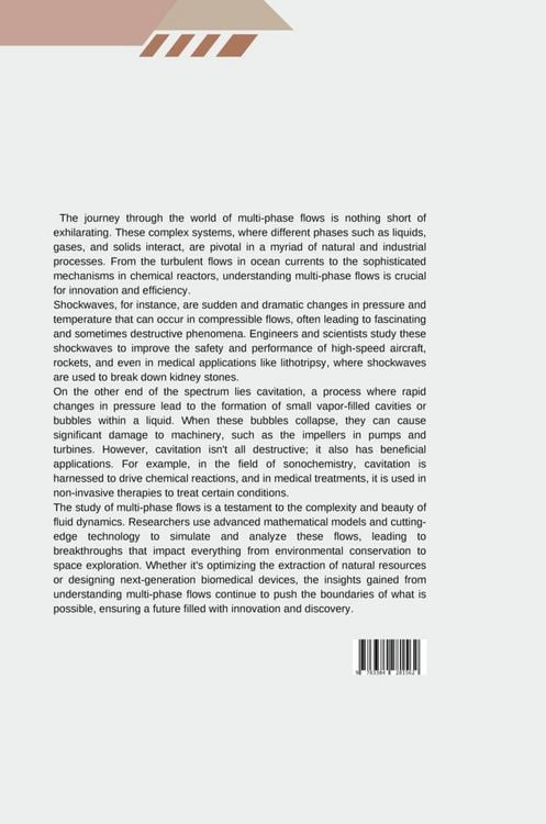 Produktbild: Shockwave Fragmentation of Liquids: A Modeling Challenge