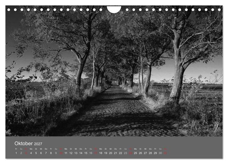 Produktbild: Ostsee - von schwarz bis wei&szlig; (Wandkalender 2027 DIN A4 quer), CALVENDO Monatskalender