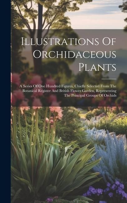Produktbild: Illustrations Of Orchidaceous Plants: A Series Of One Hundred Figures, Chiefly Selected From The Botanical Register And British Flower Garden, Represe