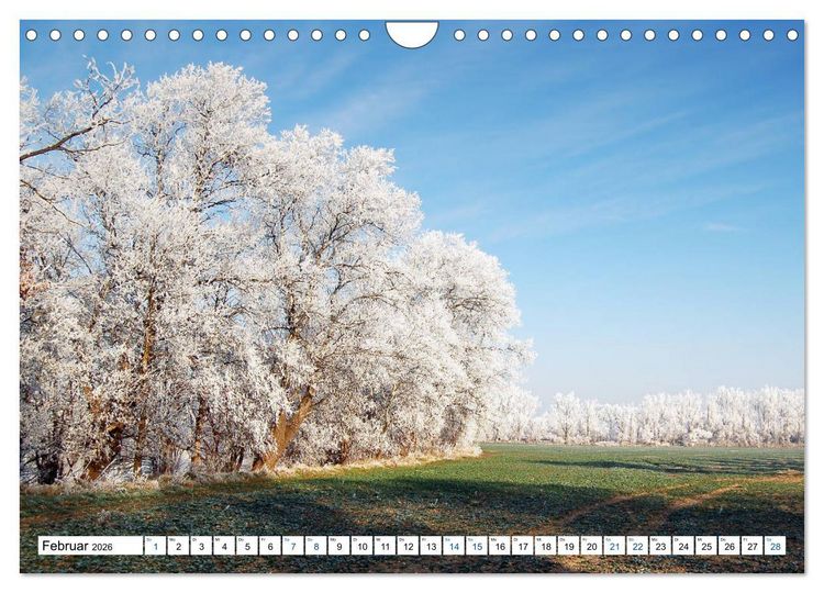 Produktbild: Land Brandenburg - Natur und Erholung im m&auml;rkischen Land (Wandkalender 2026 DIN A4 quer), CALVENDO Monatskalender