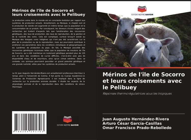Produktbild: M&eacute;rinos de l'&icirc;le de Socorro et leurs croisements avec le Pelibuey