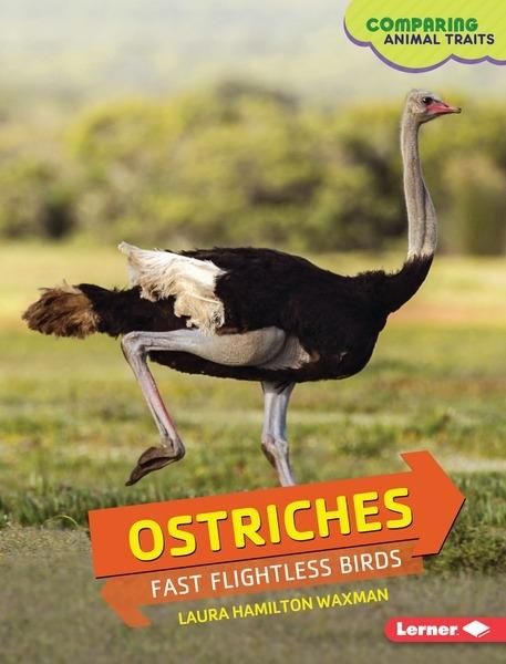 Produktbild: Ostriches