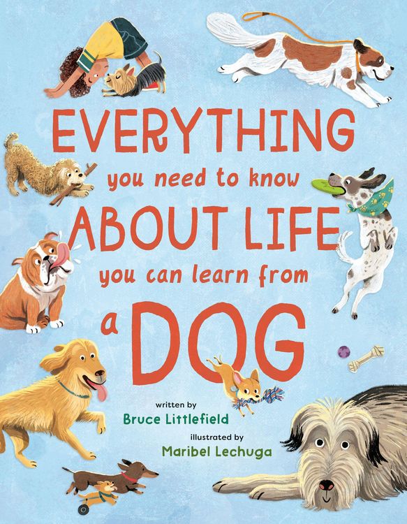 Produktbild: Everything You Need to Know About Life You Can Learn from a Dog