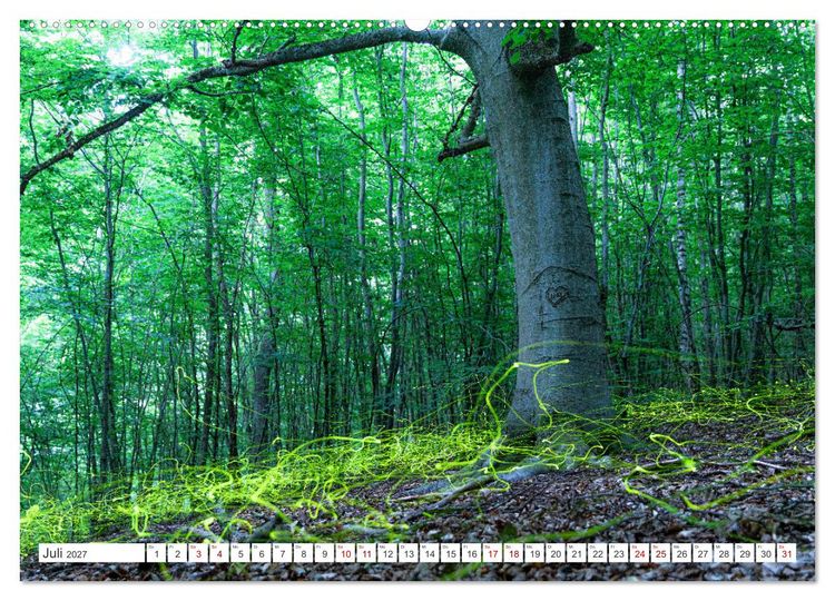 Produktbild: Natur und Tierparadies (hochwertiger Premium Wandkalender 2027 DIN A2 quer), Kunstdruck in Hochglanz