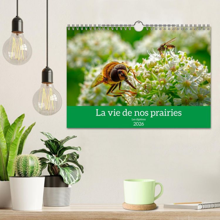 Produktbild: La vie de nos prairies - Les dipt&egrave;res (Calendrier mural 2026 DIN A4 vertical), CALVENDO calendrier mensuel