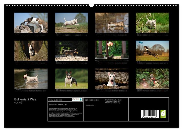 Produktbild: Bullterrier? Was sonst! (hochwertiger Premium Wandkalender 2026 DIN A2 quer), Kunstdruck in Hochglanz