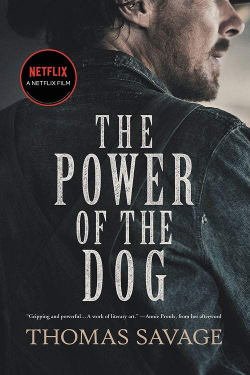 Produktbild: The Power of the Dog