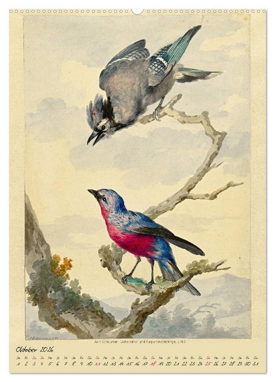 Produktbild: Aert Schouman. V&Ouml;GEL (hochwertiger Premium Wandkalender 2026 DIN A2 hoch), Kunstdruck in Hochglanz