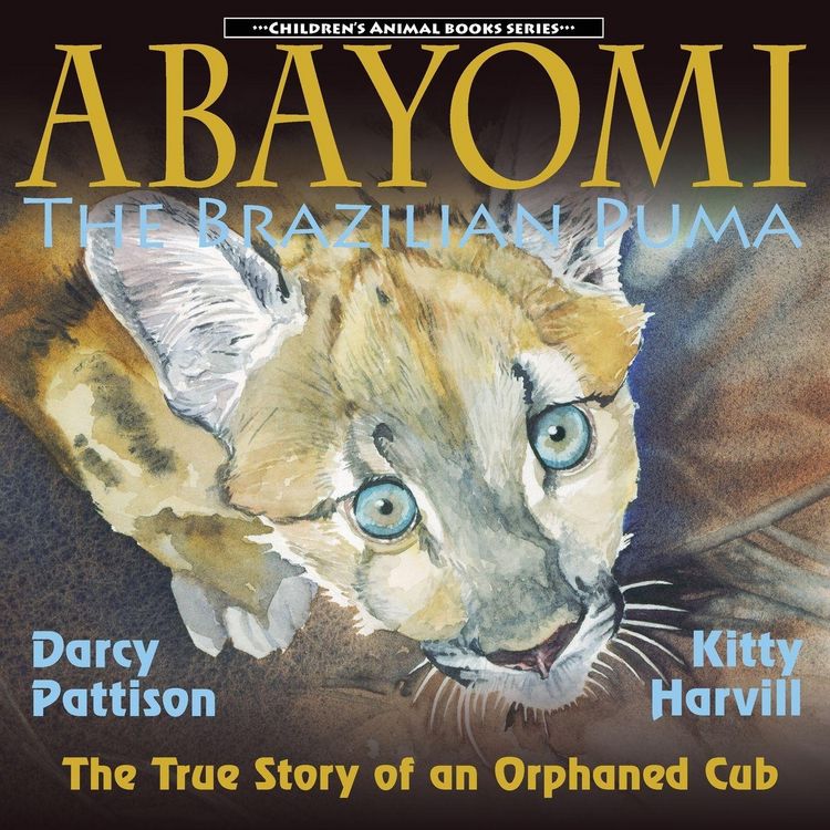 Produktbild: Abayomi, the Brazilian Puma