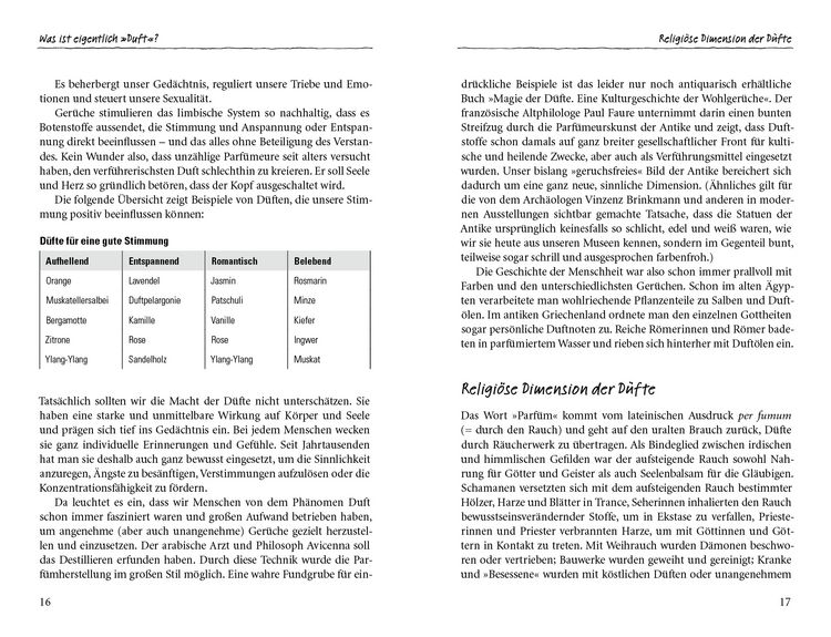 Produktbild: Duftoase Kr&auml;uterspirale