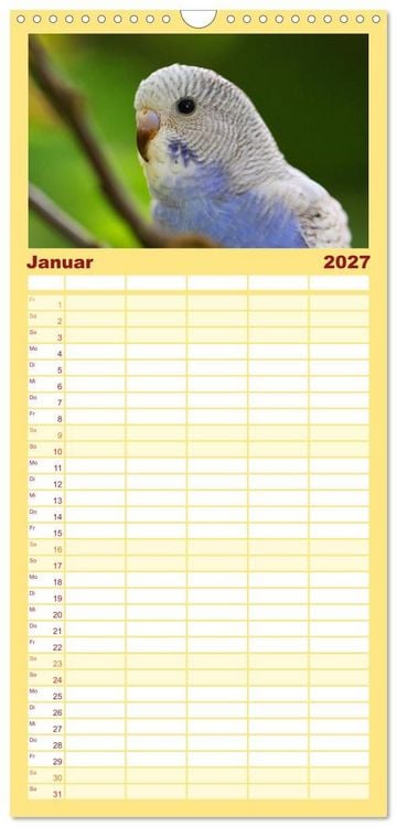 Produktbild: Familienplaner 2027 - Wellensittichkalender! - Das Original mit 5 Spalten (Wandkalender, 21 x 45 cm) CALVENDO