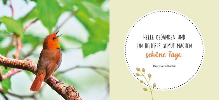 Produktbild: Gute Gedanken f&uuml;r jeden Tag
