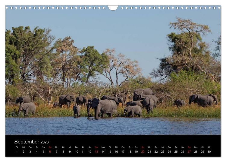 Produktbild: Naturerlebnis Botswana (Wandkalender 2026 DIN A3 quer), CALVENDO Monatskalender