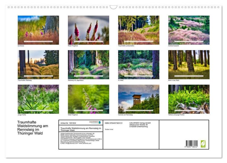 Produktbild: Traumhafte Waldstimmung am Rennsteig im Th&uuml;ringer Wald (Wandkalender 2026 DIN A2 quer), CALVENDO Monatskalender