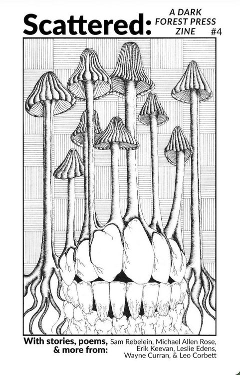 Produktbild: Scattered (Scattered: A Dark Forest Press Zine, #4)