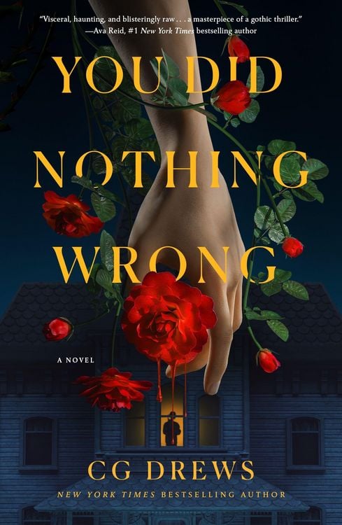 Produktbild: You Did Nothing Wrong