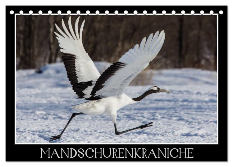 Produktbild: Mandschurenkraniche (Tischkalender 2027 DIN A5 quer), CALVENDO Monatskalender