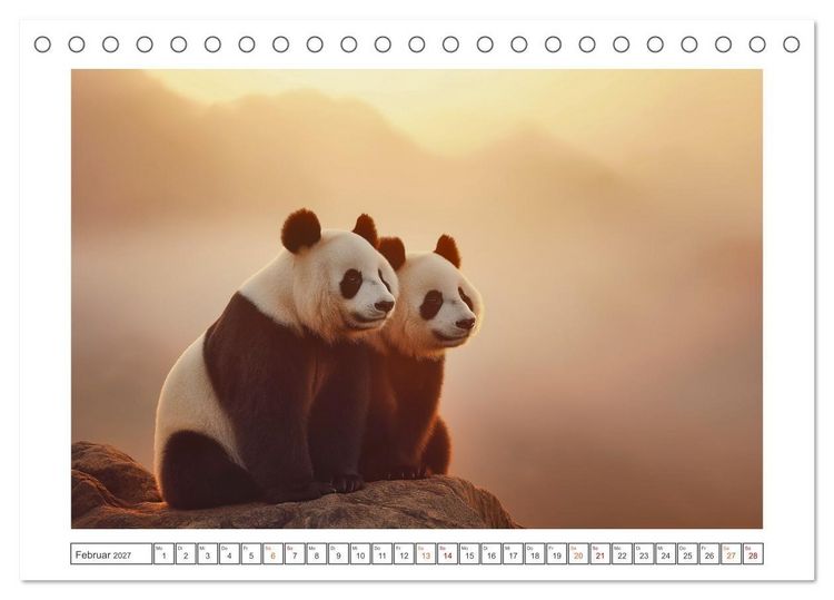 Produktbild: Panda Magie (Tischkalender 2027 DIN A5 quer), CALVENDO Monatskalender
