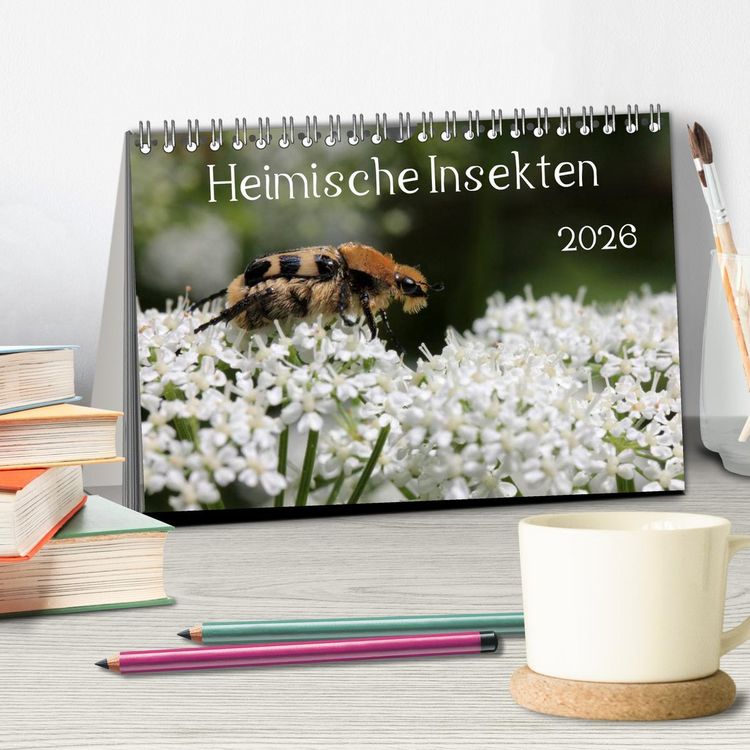 Produktbild: Heimische Insekten 2026 (Tischkalender 2026 DIN A5 quer), CALVENDO Monatskalender