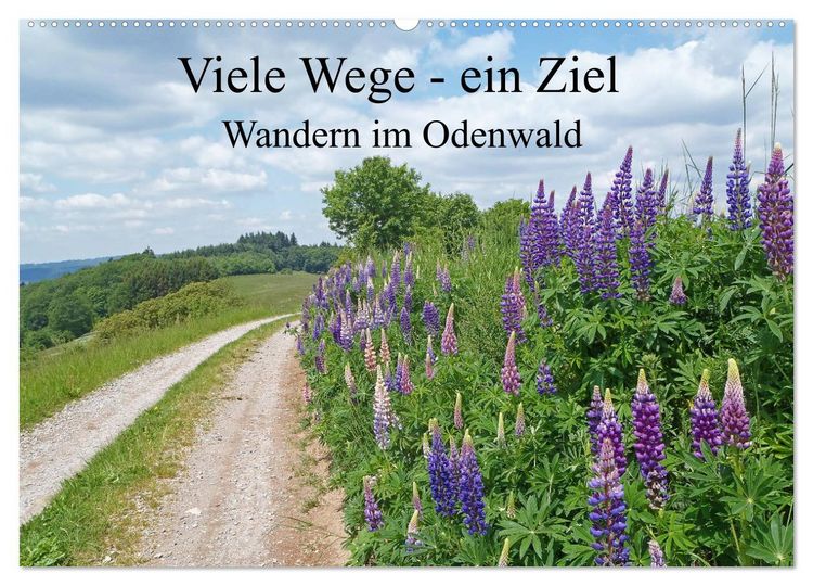 Produktbild: Viele Wege - ein Ziel Wandern im Odenwald (Wandkalender 2026 DIN A2 quer), CALVENDO Monatskalender
