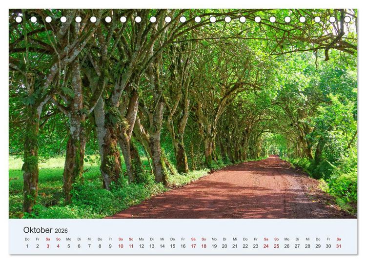 Produktbild: Entdecke Galapagos (Tischkalender 2026 DIN A5 quer), CALVENDO Monatskalender