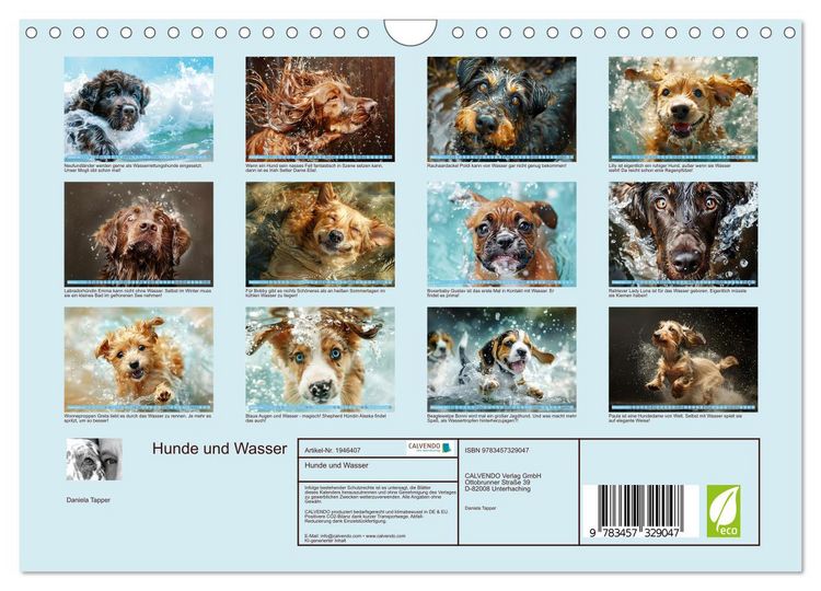 Produktbild: Hunde und Wasser (Wandkalender 2026 DIN A4 quer), CALVENDO Monatskalender