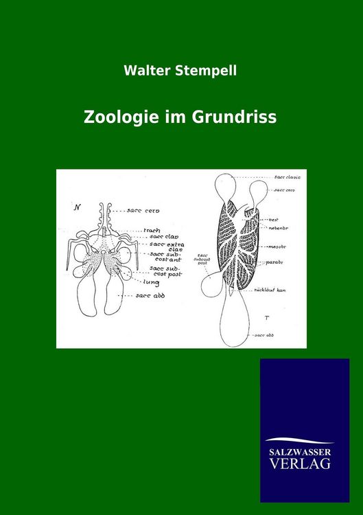 Produktbild: Zoologie im Grundriss