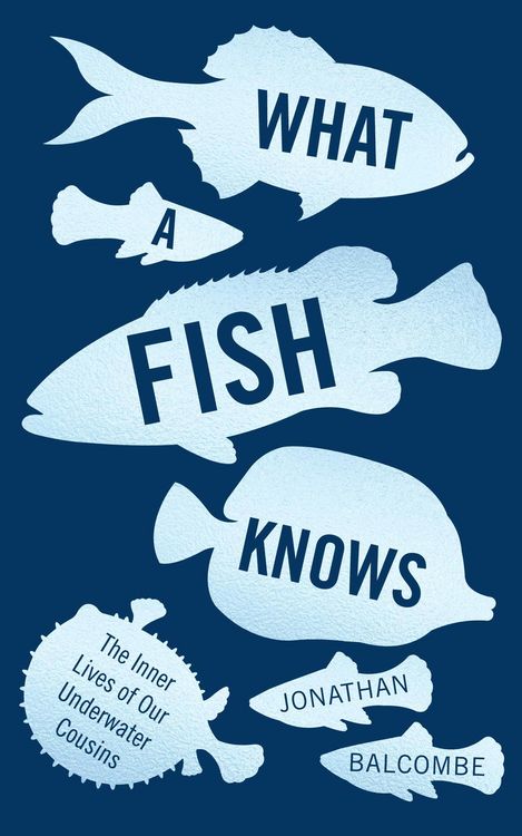 Produktbild: What a Fish Knows