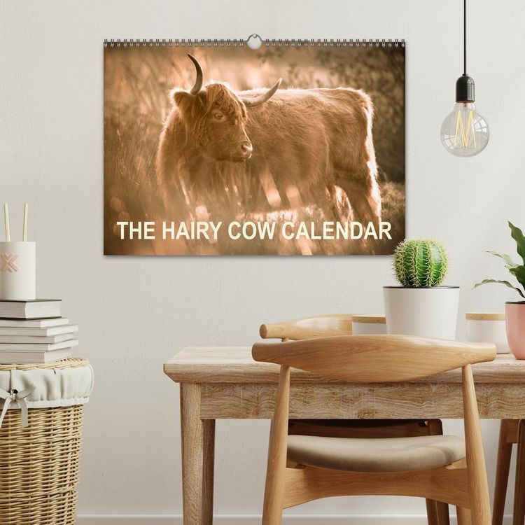 Produktbild: The Hairy Cow Calendar (Wall Calendar 2026 DIN A3 landscape), CALVENDO 12 Month Wall Calendar