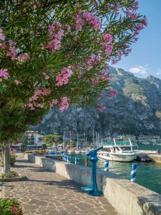 Produktbild: CALVENDO Puzzle GARDASEE Hafen und Uferpromenade in Limone sul Garda | 1000 Teile Lege-Gr&ouml;&szlig;e 64x48cm Foto-Puzzle f&uuml;r gl&uuml;ckliche Stunden