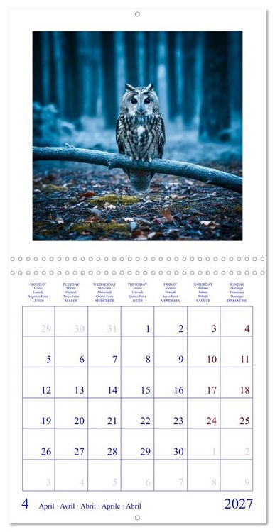 Produktbild: The Forest Fellowship (Wall Calendar 2027 12 &times; 12 Inch) CALVENDO 12 Month Wall Calendar