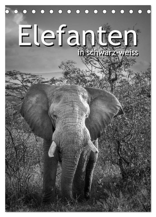 Produktbild: Elefanten in schwarz-weiss (Tischkalender 2026 DIN A5 hoch), CALVENDO Monatskalender