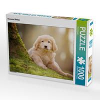 Produktbild: CALVENDO Puzzle Hovawart Welpe | 1000 Teile Lege-Gr&ouml;&szlig;e 64x48cm Foto-Puzzle f&uuml;r gl&uuml;ckliche Stunden