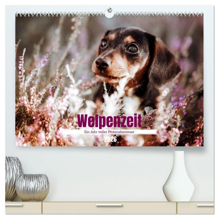 Produktbild: Welpenzeit - Ein Jahr voller spannender Pfotenabenteuer (hochwertiger Premium Wandkalender 2026 DIN A2 quer), Kunstdruck in Hochglanz