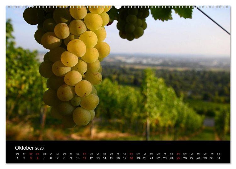 Produktbild: W.EINBLICK (Wandkalender 2026 DIN A2 quer), CALVENDO Monatskalender