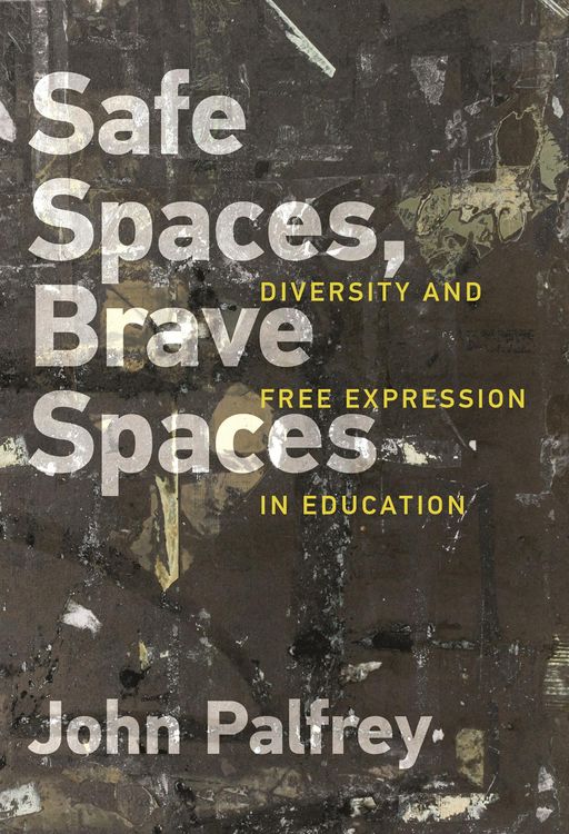 Produktbild: Safe Spaces, Brave Spaces
