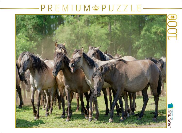 Produktbild: CALVENDO Puzzle Stutenherde im Merfelder Bruch | 1000 Teile Lege-Gr&ouml;&szlig;e 64x48cm Foto-Puzzle f&uuml;r gl&uuml;ckliche Stunden