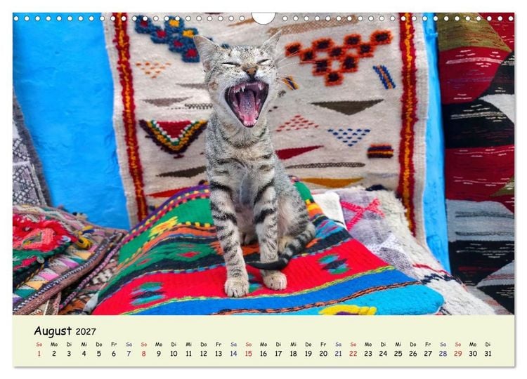 Produktbild: MarokkoCats (Wandkalender 2027 DIN A3 quer), CALVENDO Monatskalender