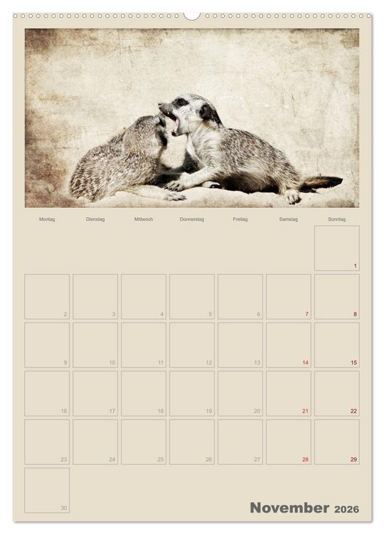 Produktbild: Lustige Erdm&auml;nnchen (hochwertiger Premium Wandkalender 2026 DIN A2 hoch), Kunstdruck in Hochglanz