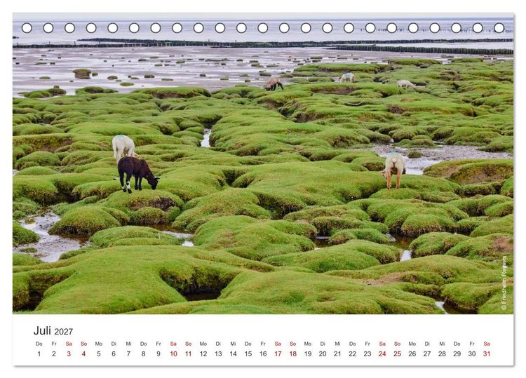 Produktbild: Halbinsel Eiderstedt - Momente der Natur (Tischkalender 2027 DIN A5 quer), CALVENDO Monatskalender