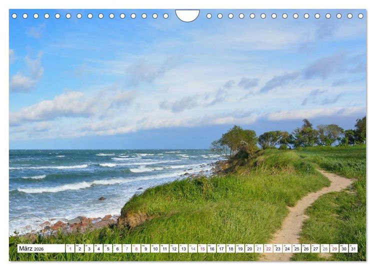 Produktbild: Wege gehen... (Wandkalender 2026 DIN A4 quer), CALVENDO Monatskalender
