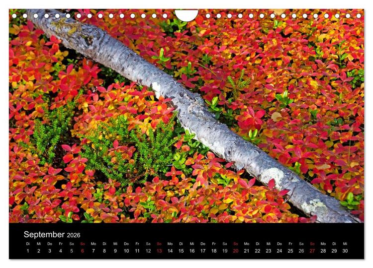Produktbild: Norwegen (Wandkalender 2026 DIN A4 quer), CALVENDO Monatskalender