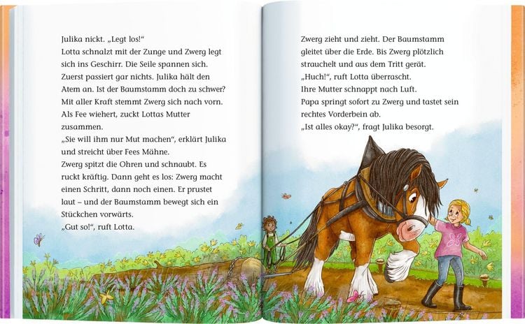 Produktbild: Ponyhof Brombeerwald (Erstlesebuch, Bd. 2)