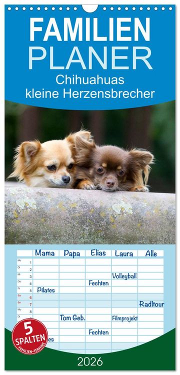 Produktbild: Familienplaner 2026 - Chihuahuas - kleine Herzensbrecher mit 5 Spalten (Wandkalender, 21 x 45 cm) CALVENDO